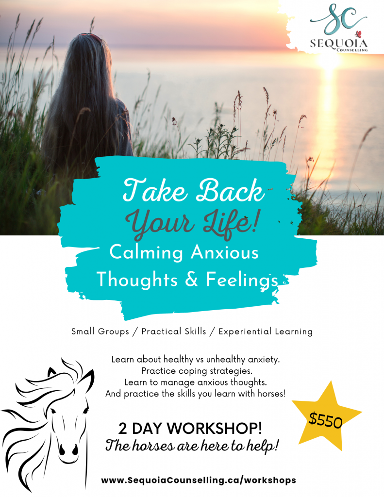 Take Back Your Life! Calming Anxious Thoughts and Feelings Workshop